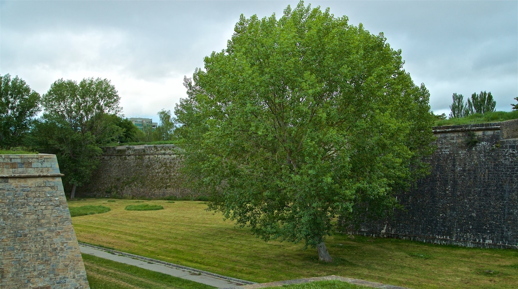 Ciudadela mostrando un jardín