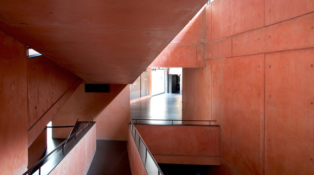 Jorge Oteiza Museum featuring interior views