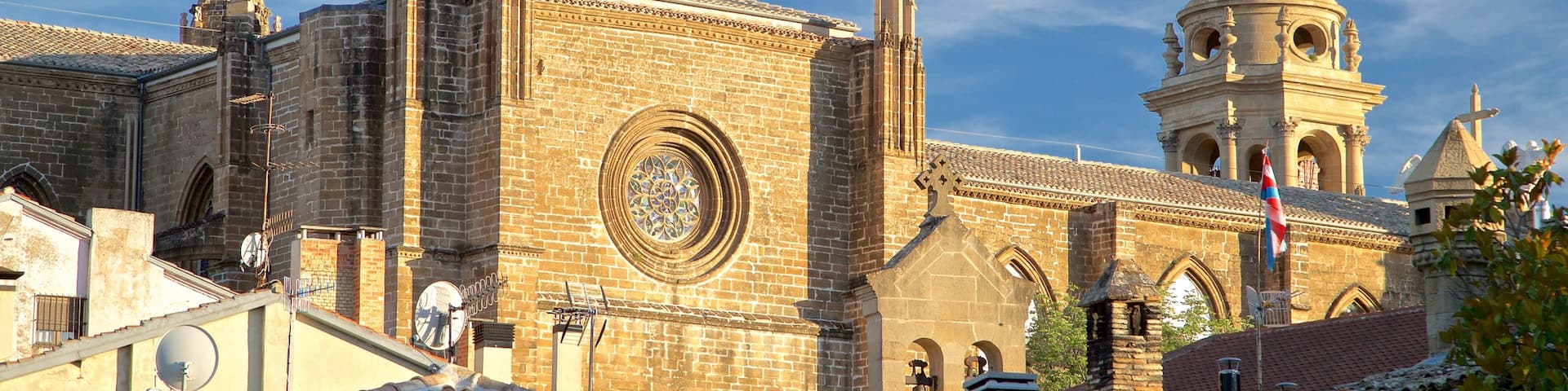 Pamplona Cathedral showing heritage elements, heritage architecture and a city