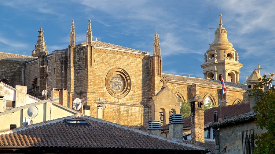 Pamplona Katedral som viser kulturarvsgenstande, en by og historiske bygningsværker