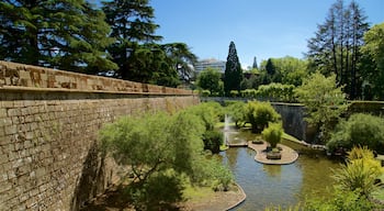 Parque de la Taconera showing a river or creek