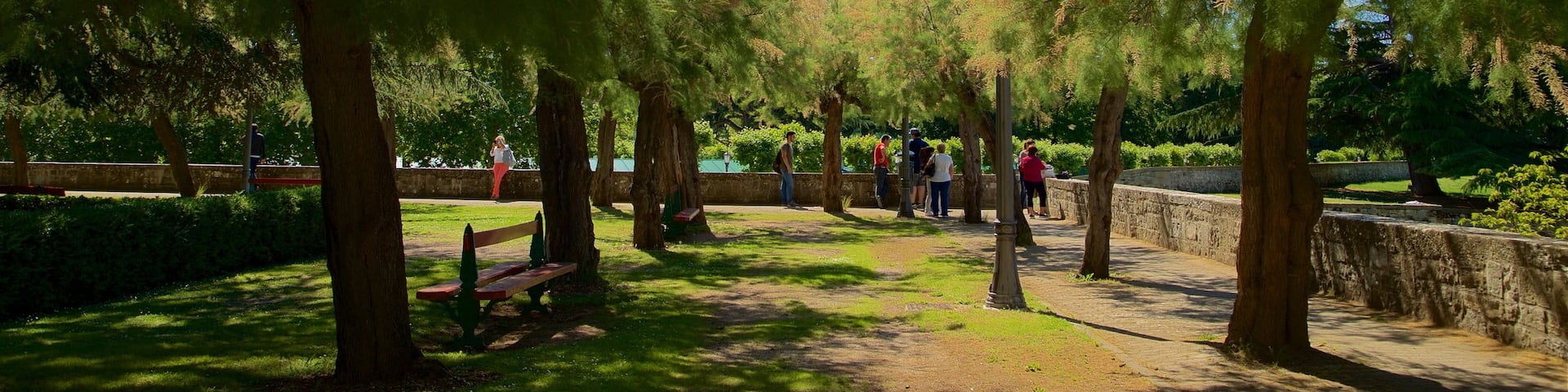 Parque de la Taconera welches beinhaltet Park sowie kleine Menschengruppe