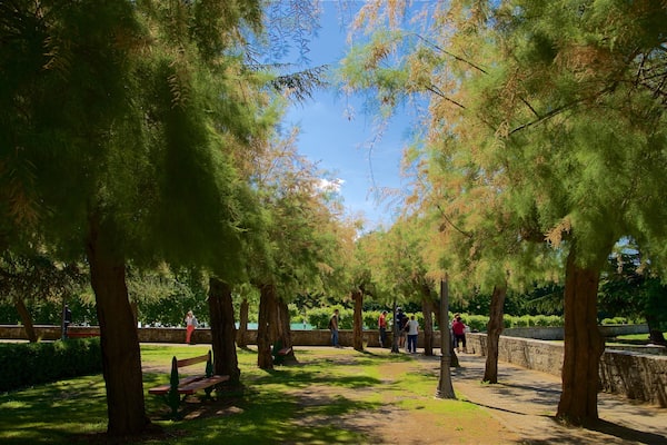 Parque de la Taconera qui includes jardin aussi bien que petit groupe de personnes