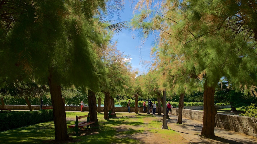 Parque de la Taconera showing a garden as well as a small group of people