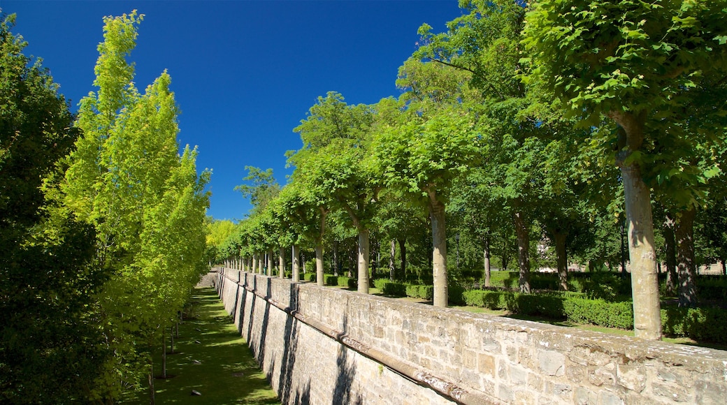 Parque de la Taconera das einen Garten