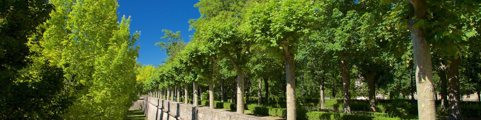 Parque de la Taconera featuring a garden