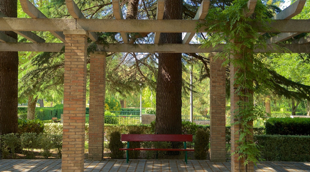 Parque de la Taconera showing a garden