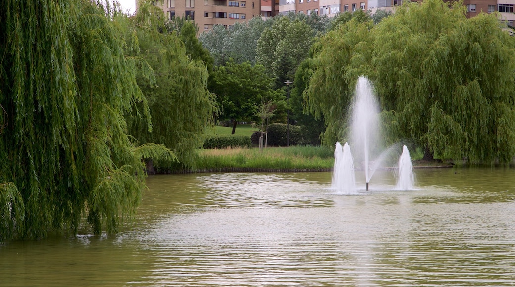 Parque Yamaguchi mostrando una fuente y un lago o laguna