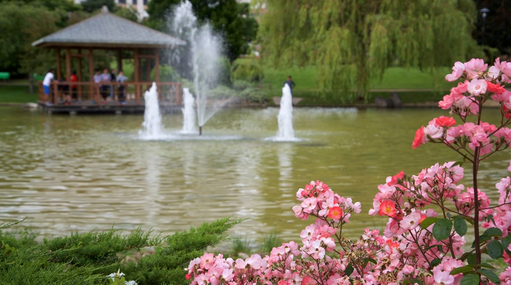 Parque Yamaguchi que incluye una fuente, flores silvestres y un lago o abrevadero