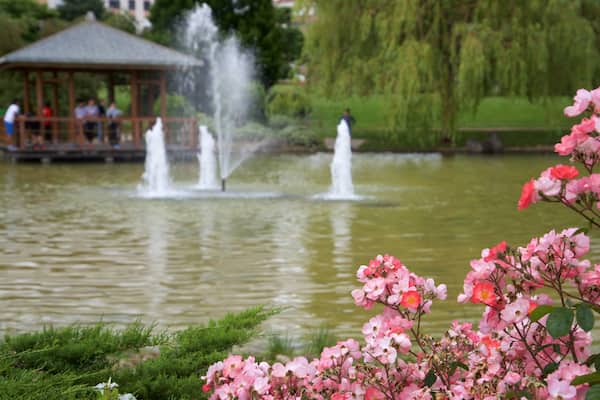 Parc de Yamaguchi qui includes lac ou étang, fleurs sauvages et fontaine
