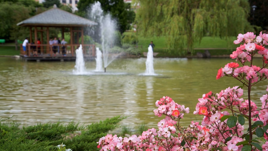 Yamaguchi Park which includes a lake or waterhole, a fountain and wild flowers