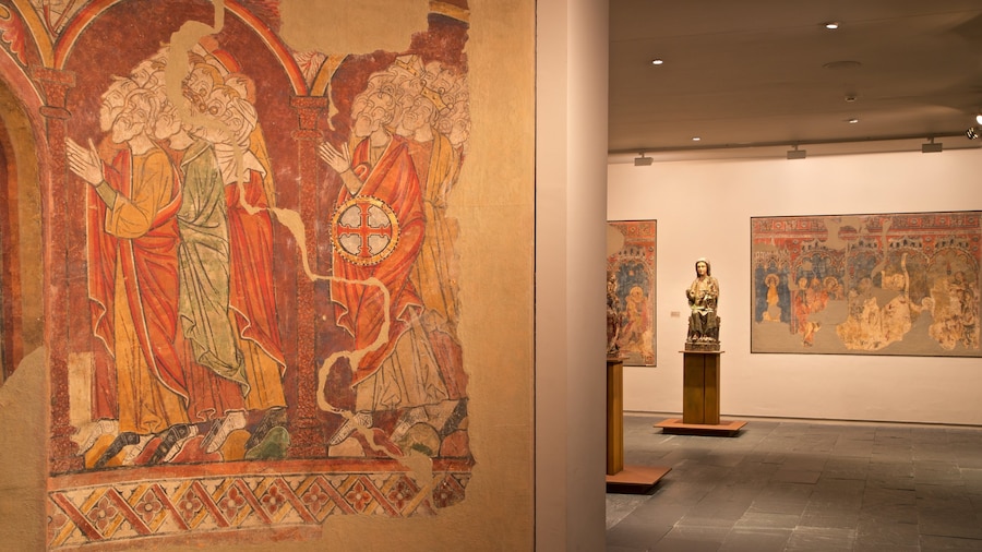 Museum of Navarra which includes interior views, heritage elements and religious elements