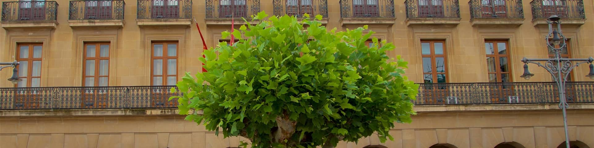 Palacio de Navarra which includes heritage elements and a square or plaza