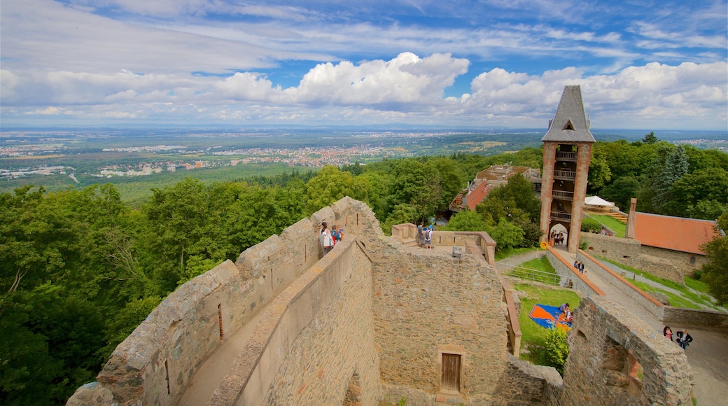 Darmstadt montrant scènes tranquilles et patrimoine architectural