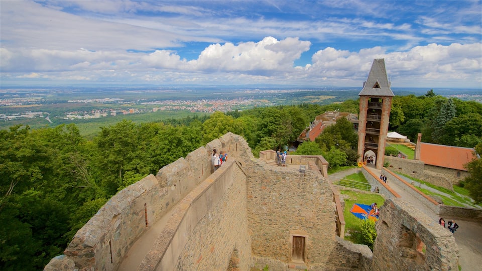 Darmstadt montrant scènes tranquilles et patrimoine architectural
