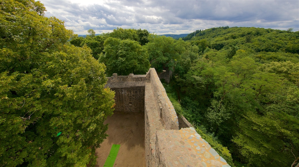 Darmstadt som inkluderar historiska element och stillsam natur