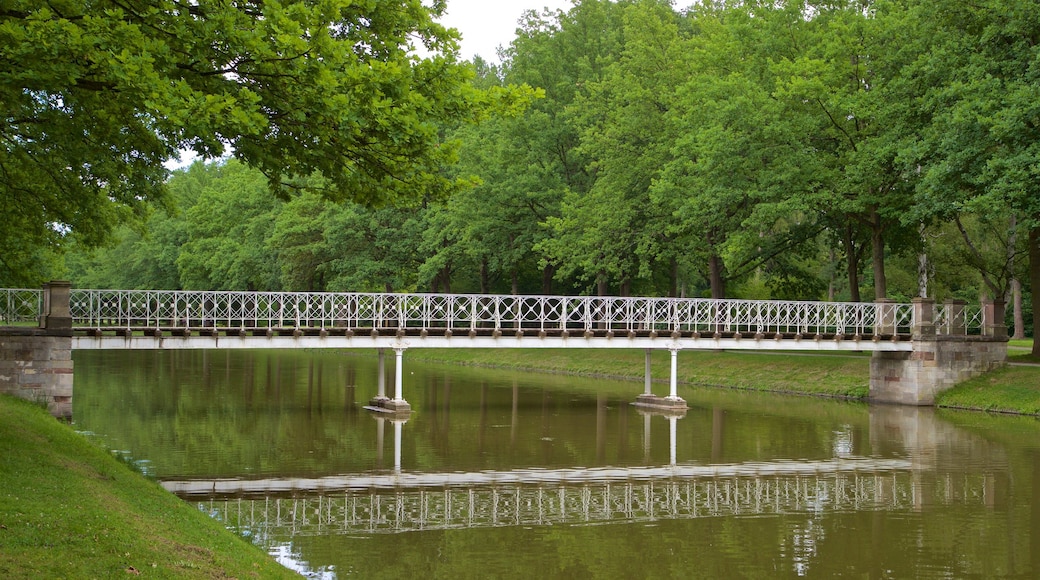 Karlsaue Park showing a bridge and a river or creek