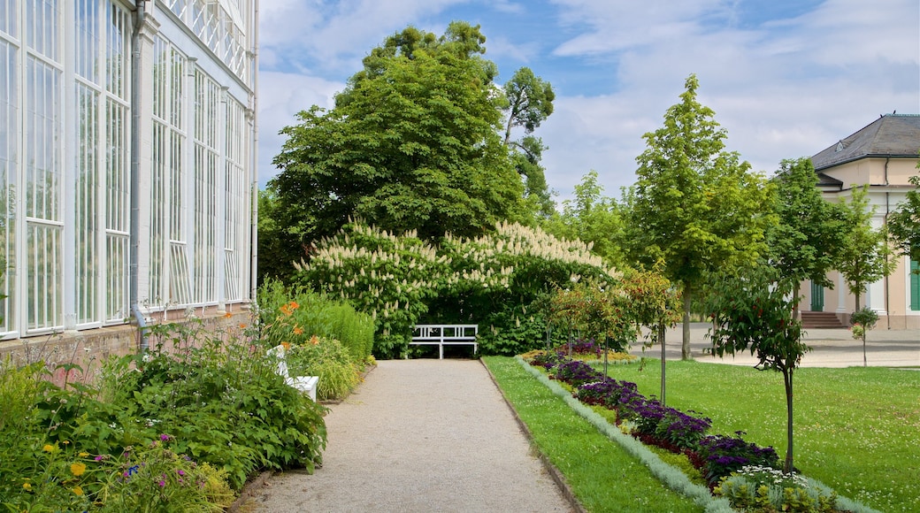 Bergpark Wilhelmshoehe featuring a garden and flowers