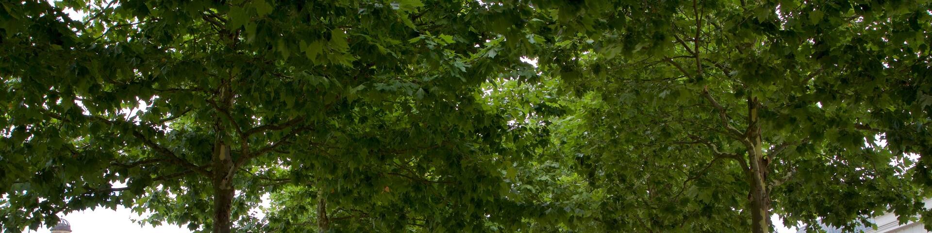 Bowling Green which includes heritage elements and a park