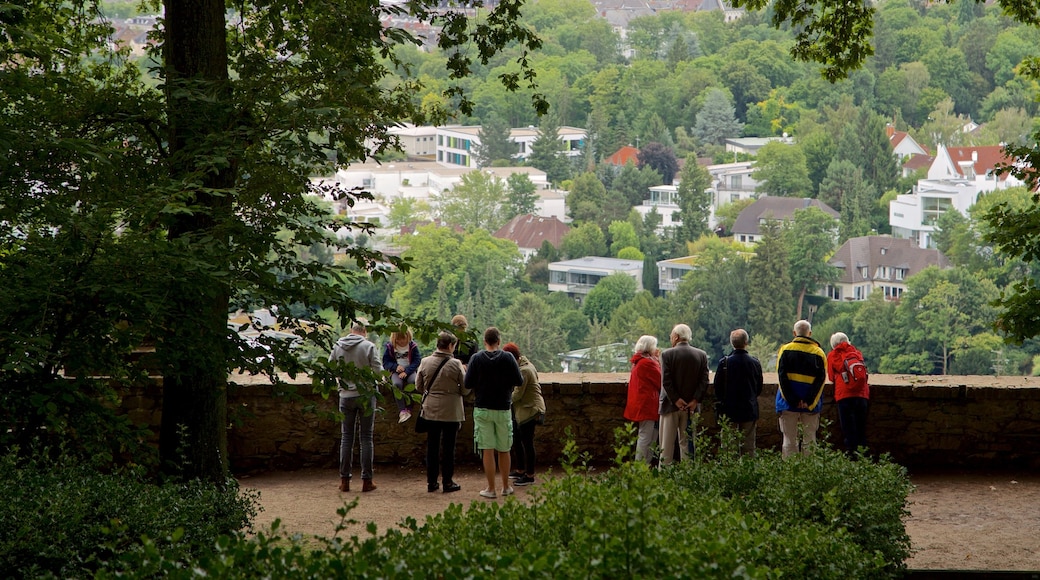 Neroberg showing a small town or village and views as well as a small group of people