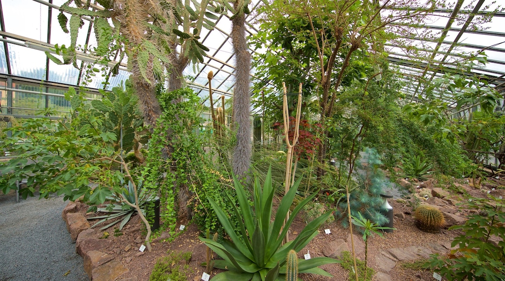 Botanischer Garten showing a garden and interior views