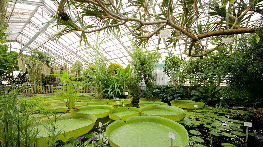 Botanischer Garten som visar en damm, interiörer och en trädgård