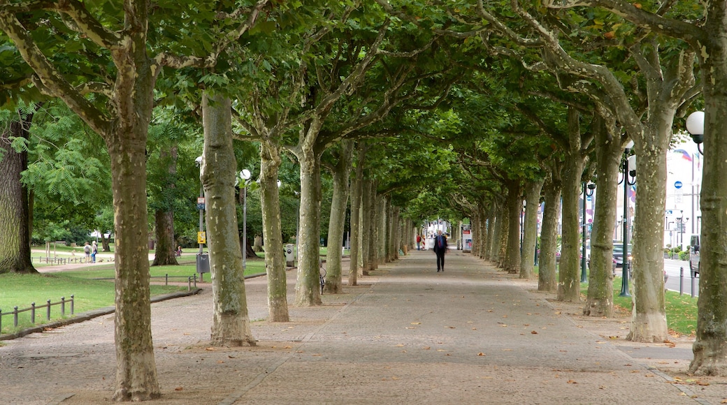 Eltville am Rhein che include parco