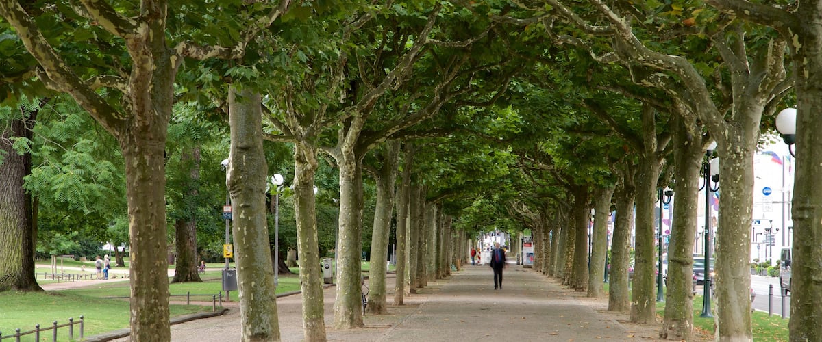 Eltville am Rhein which includes a park