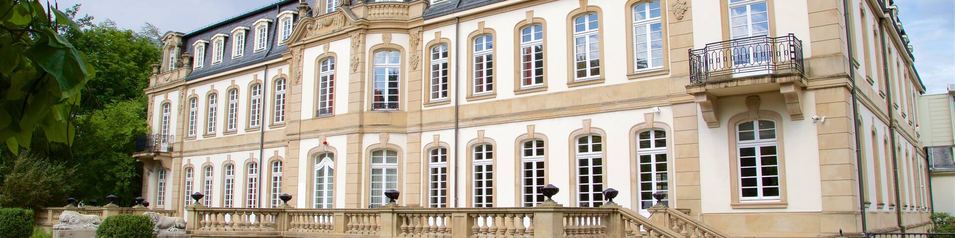 Isenburg Palace featuring a house and heritage architecture