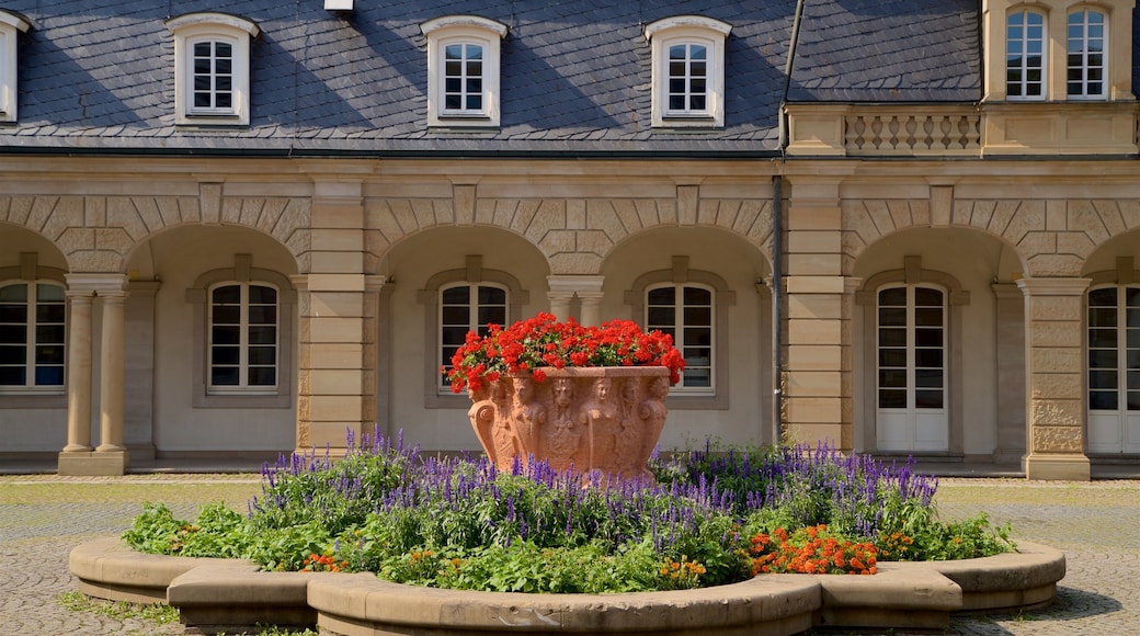 Palazzo Isenburg mostrando fiori e oggetti d\'epoca