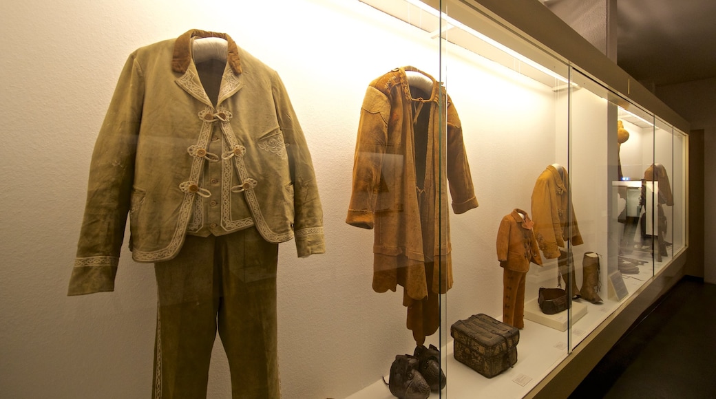 Museo Alemán del Cuero mostrando vistas de interior y elementos patrimoniales