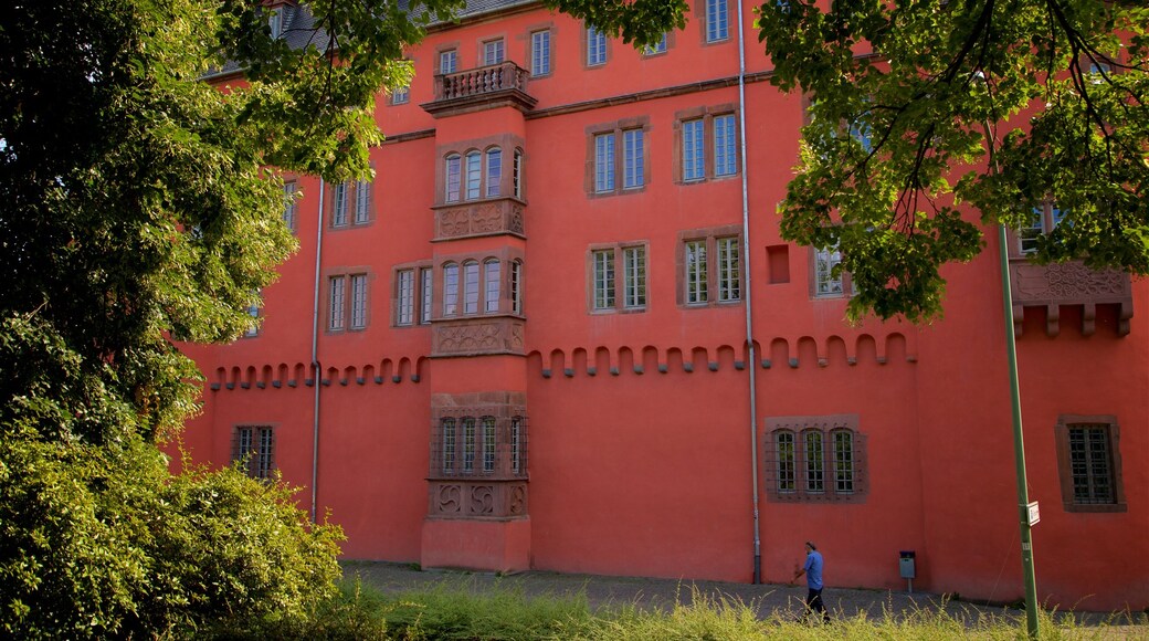 Buesing Palais showing heritage elements