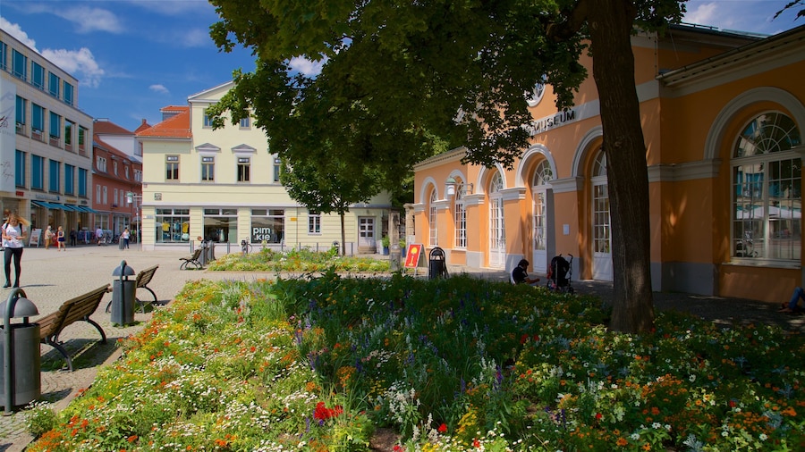 Museo Bauhaus mostrando jardín y flores silvestres