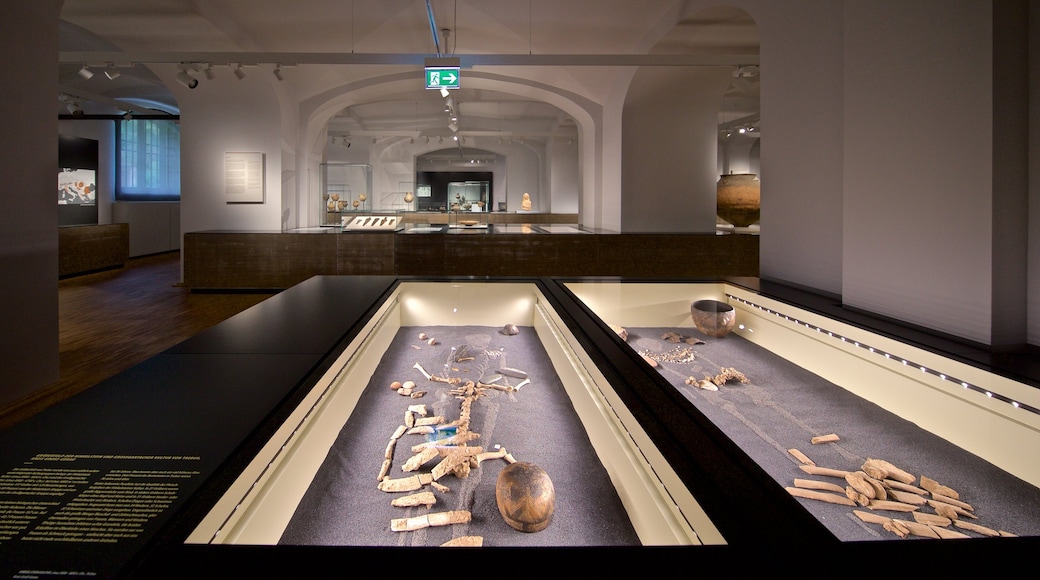 Hessisches Landesmuseum featuring interior views and heritage elements