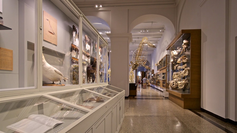 Museo estatal de Hesse ofreciendo elementos patrimoniales y vista interna