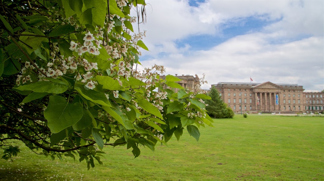 Schloss Wilhelmshöhe das einen Park, historische Architektur und Wildblumen