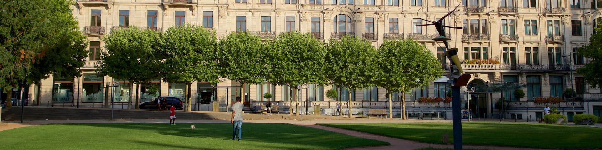 Kochbrunnen which includes a park and heritage architecture as well as a family