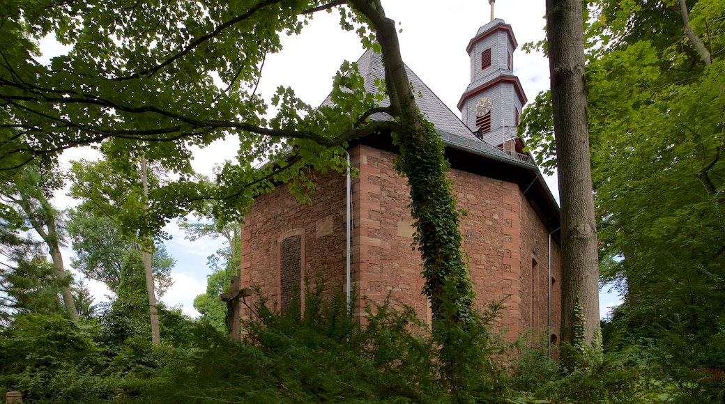 Rumpenheim Palace showing heritage elements, forest scenes and a church or cathedral