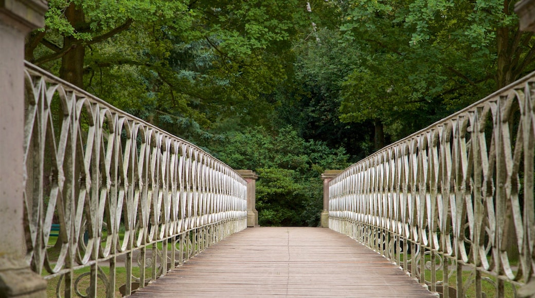 Karlsaue Park showing a bridge