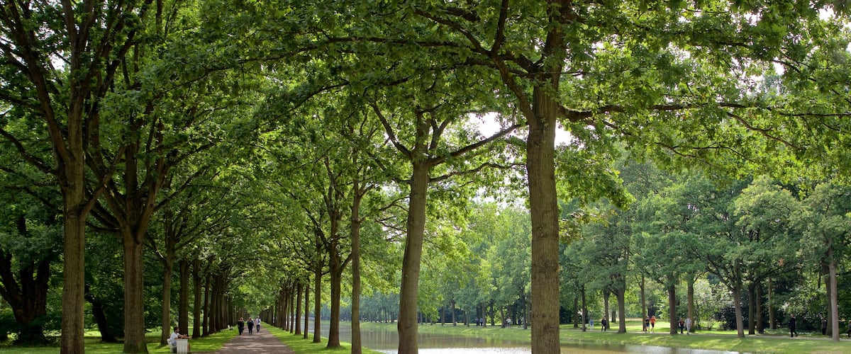 Karlsaue Park which includes a river or creek and a park