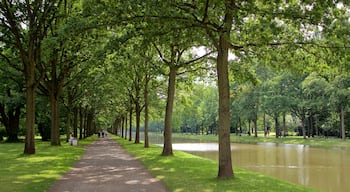 Karlsaue Park showing a garden and a river or creek