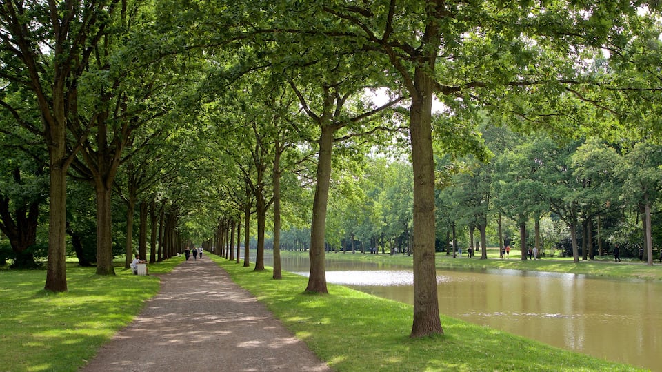 Karlsaue Park which includes a river or creek and a park