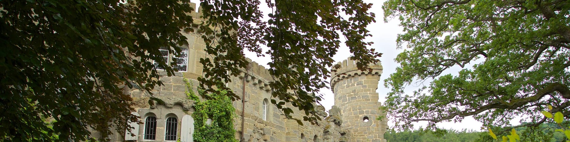 Château de Löwenburg montrant château ou palais et patrimoine architectural