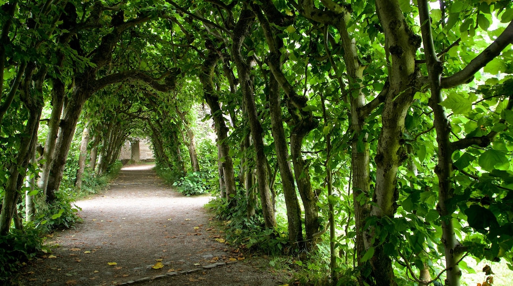 Castillo de Löwenburg ofreciendo un parque