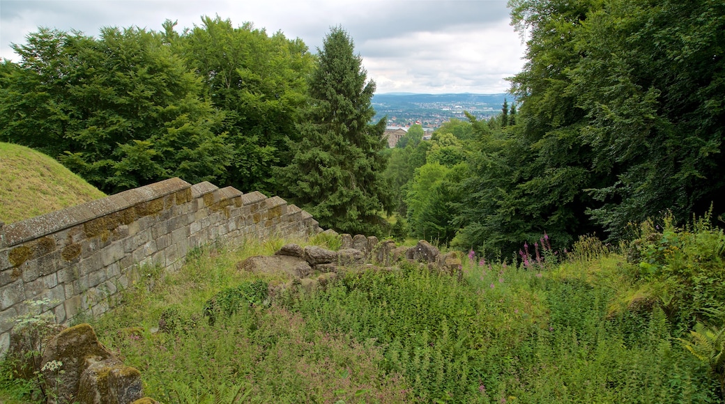 Castello di Löwenburg mostrando paesaggi rilassanti