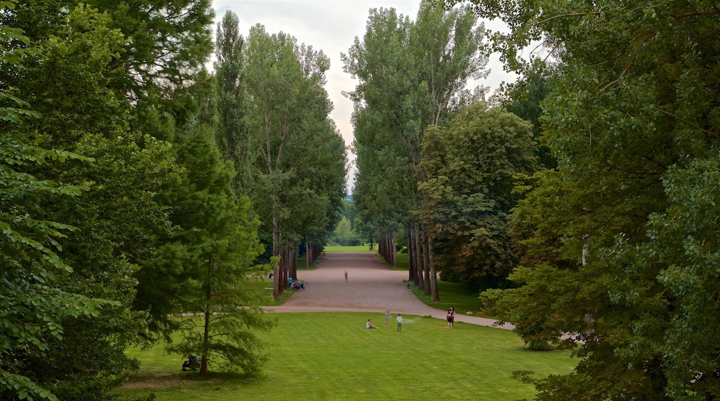 Park an der Ilm showing a garden