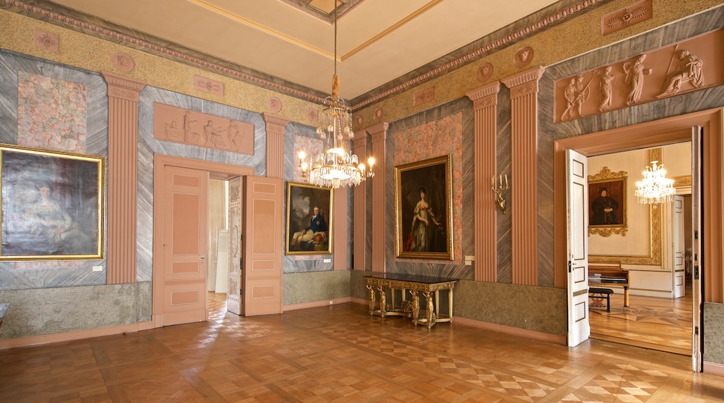 Schlossmuseum showing heritage elements, interior views and art