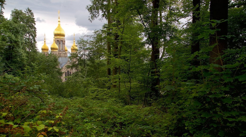 Russian Orthodox Church som viser kirke eller katedral, historisk arkitektur og skog