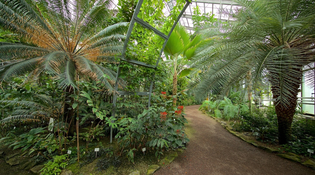 Botanischer Garten qui includes jardin et vues intérieures
