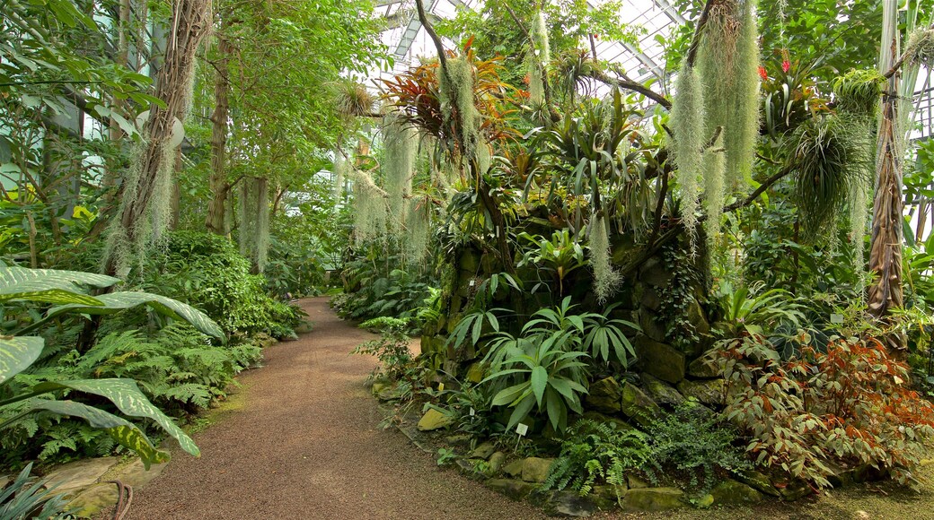 Botanischer Garten mettant en vedette jardin et vues intérieures